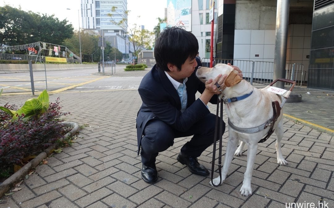僅餘 3 成視力，靠導盲犬並肩創業！Walter 助高學歷殘疾人士搵工 — Unwirehk